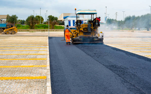 Best Interlocking Driveway Pavers  in Springfield, FL