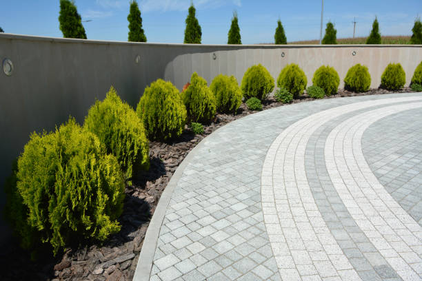 Best Permeable Paver Driveway  in Springfield, FL